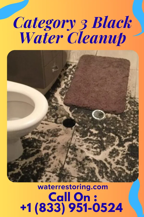 Category 3 Black Water Cleanup in Arcadia, WI
